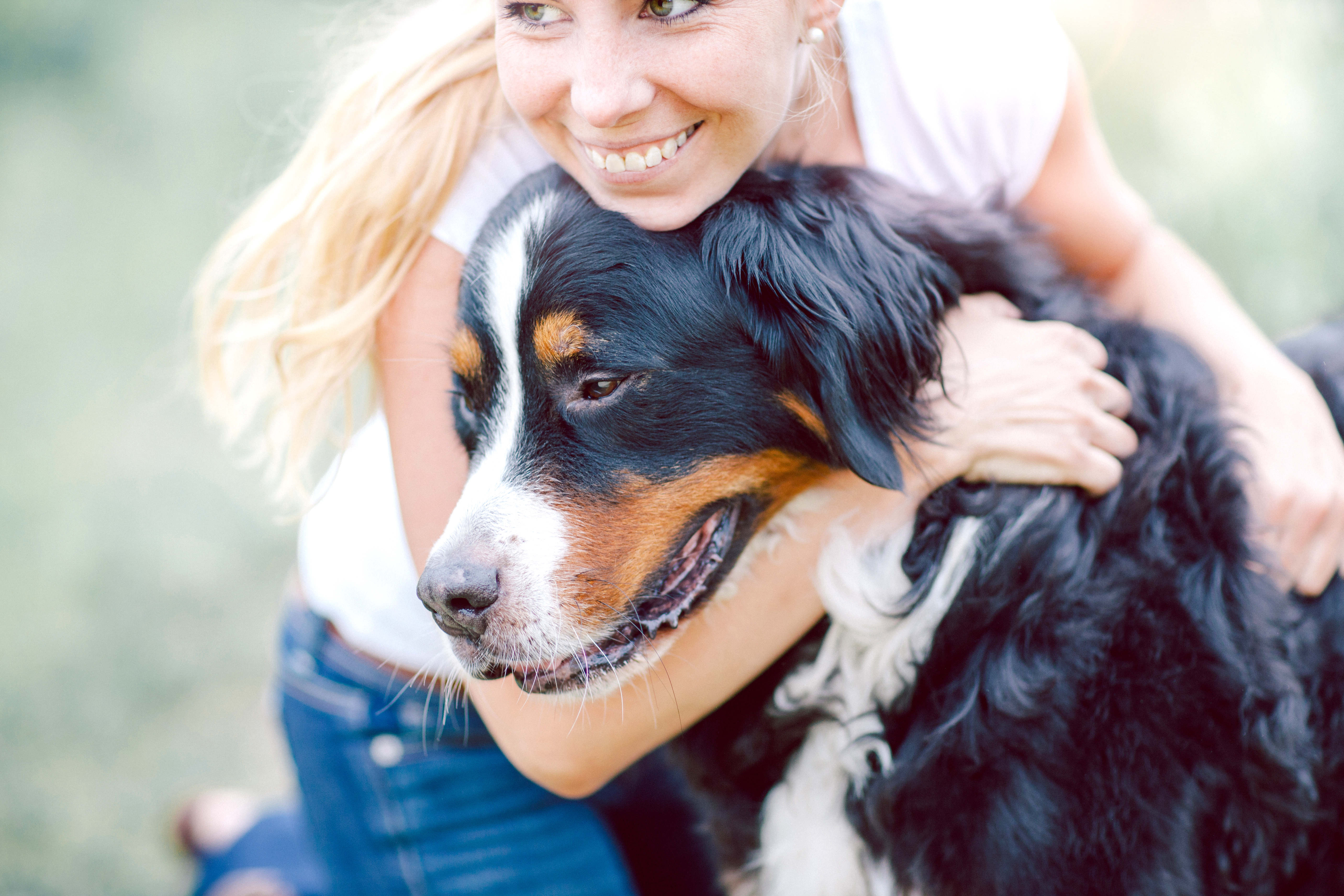 The Top 3 Services Every Busy Pet Owner Needs for a Clean Home and Healthy Pet